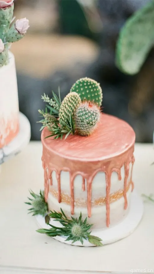 苏丹仙人掌蛋糕攻略:大餐级制作秘籍揭秘 苏丹仙人掌蛋糕攻略:大餐级制作秘籍揭秘